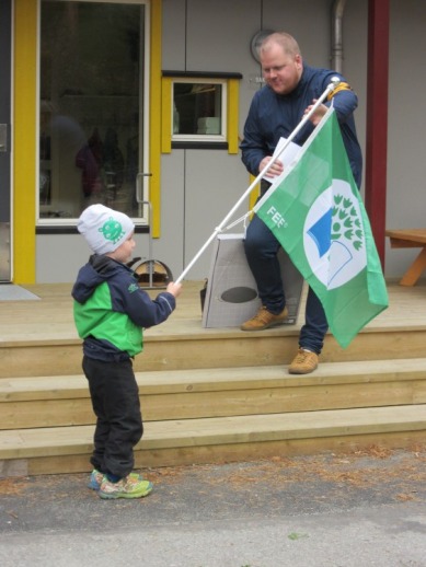 Grønt flagg2