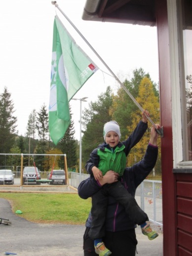 Grønt flagg3