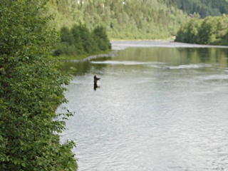 Fin idyll i Orkla 