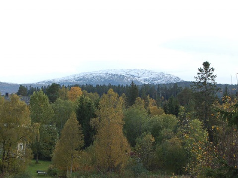 Hvitt på Resfjellet  