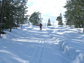 Løypa på Litjåsen (Arkivbilde) 