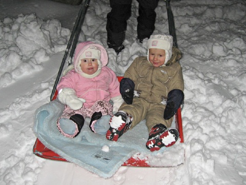 Snøengler  