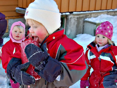 Ane syntes det smakte jordbær av isklossen  