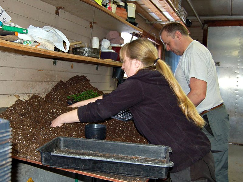 Hektiske arbeidsdager 