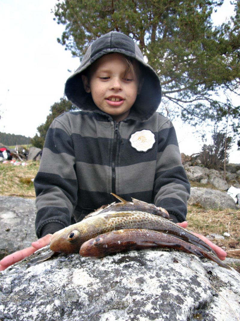 Nikolai Storslett lurer på hva han skal gjøre med fiskene på steinen 