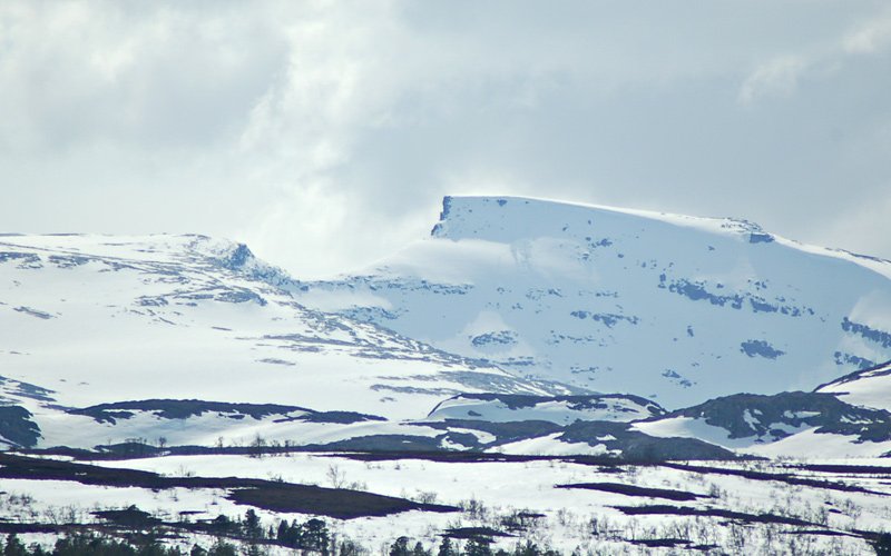Trollhetta  