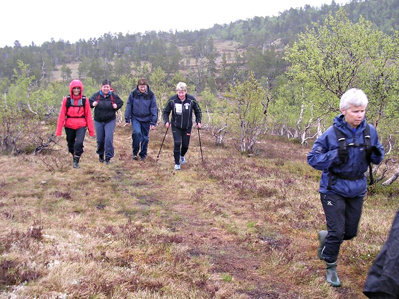 Fin tursti innover mot Jøngfjellet 