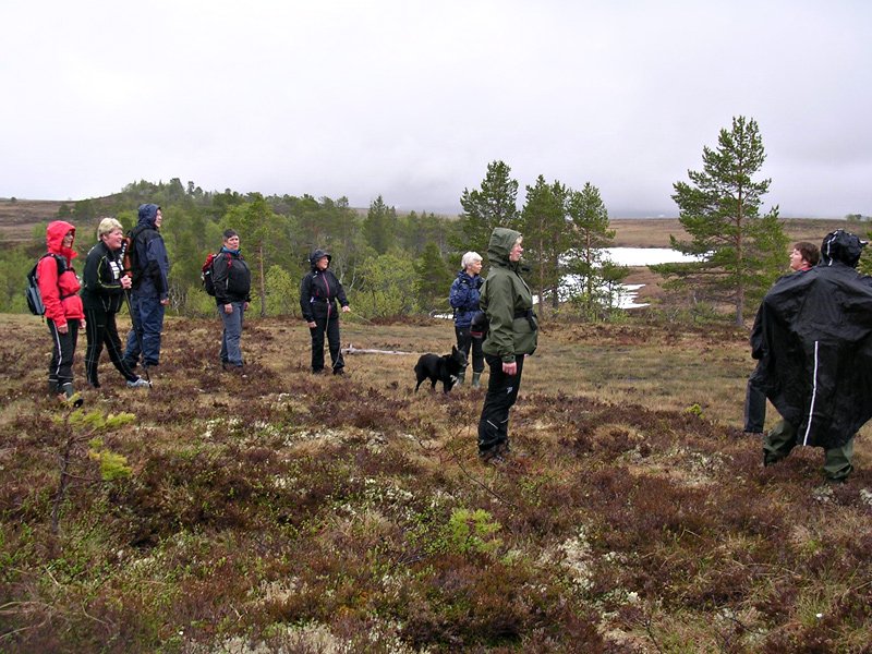 Resfjellet innhyllet i tåke  