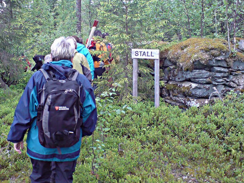 Vi gikk gjennom skogen, før vi kom fram til myra  