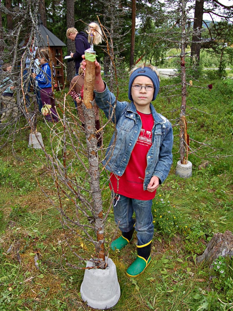 Jan Erik fortalte at det var festivalens dronning som satt i toppen på treet  
