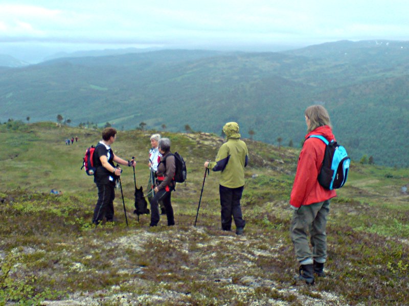 Her er folk på vei ned ett</div>
            </div>    
        </article>
        
        
    </div>
    <div class=