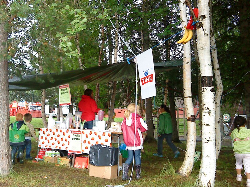 Tropisk paradis i skogen 