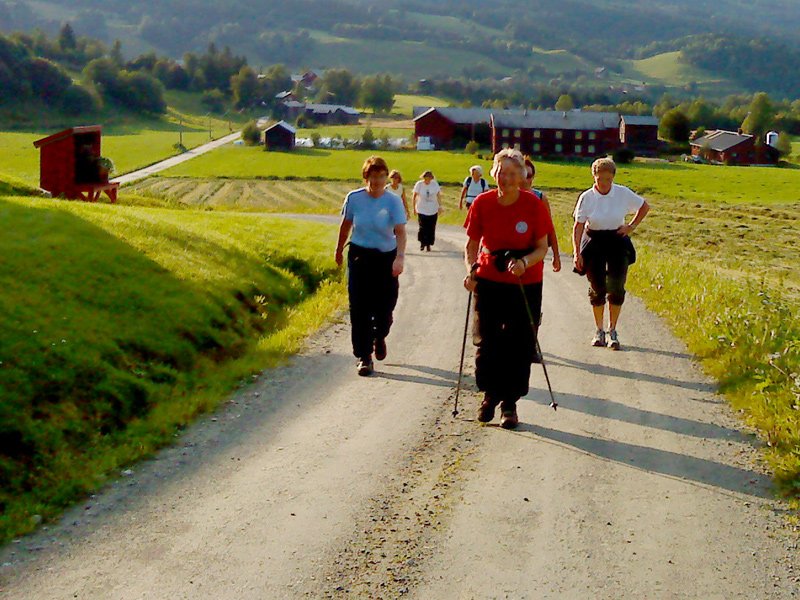 Opp mot Synstigard 