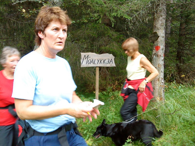 Trimboksen ved Moalykkja  