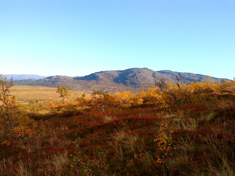 Resfjellet da vi gikk opp 