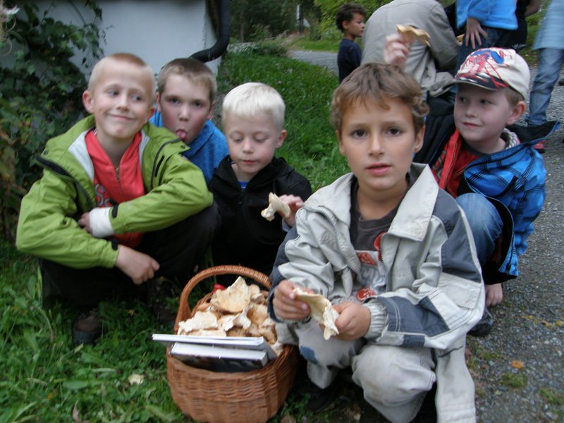 Disse fant flere kilo med sopp: Ole Andreas Rye, Ole Anders Bjørkhaug, Sindre Sandvik, Finn Van Den Broek og Ole Johan Dragseth.  