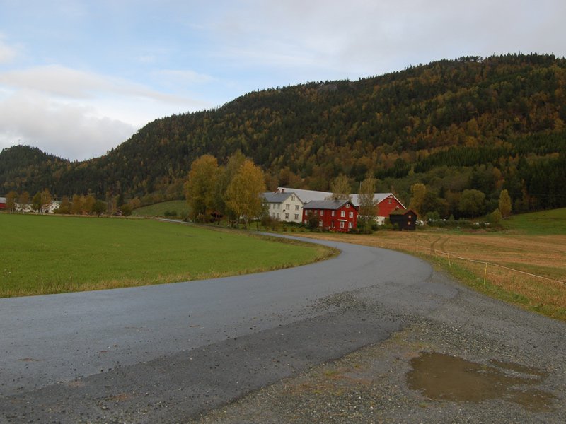 Fine høstfarger  