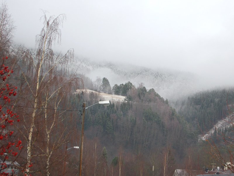 Fin stemning i skogen overfor Dagsenteret på lørdag  