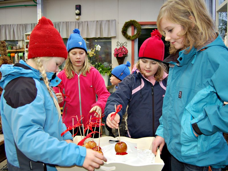 Karen Anna og Charlotte gikk rundt i gartneriet og solgte kandiserte epler  
