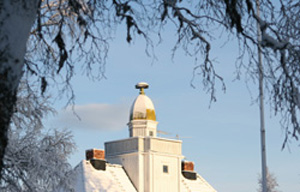 IMG_1217w.jpg