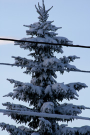 IMG_1307w.jpg