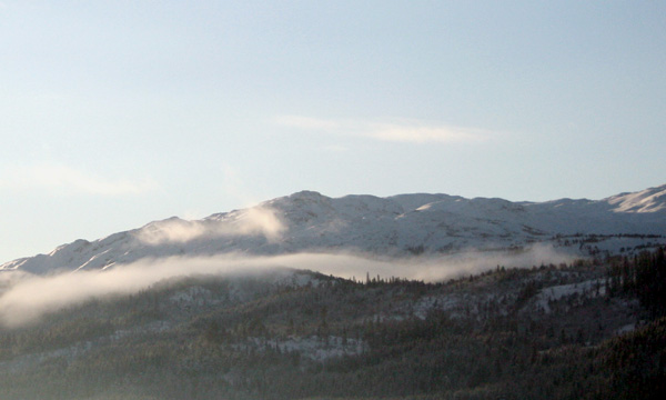IMG_1600w.jpg