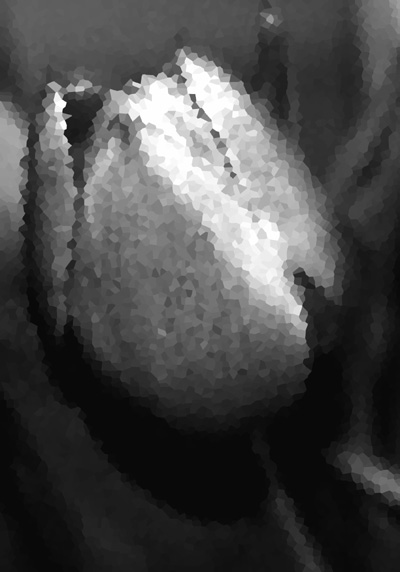 IMG_1695ew.jpg