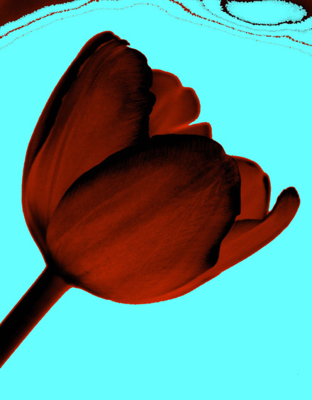 IMG_1973cw.jpg