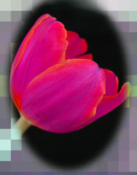 IMG_1973ww.jpg