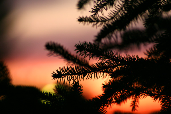 IMG_4566w.jpg