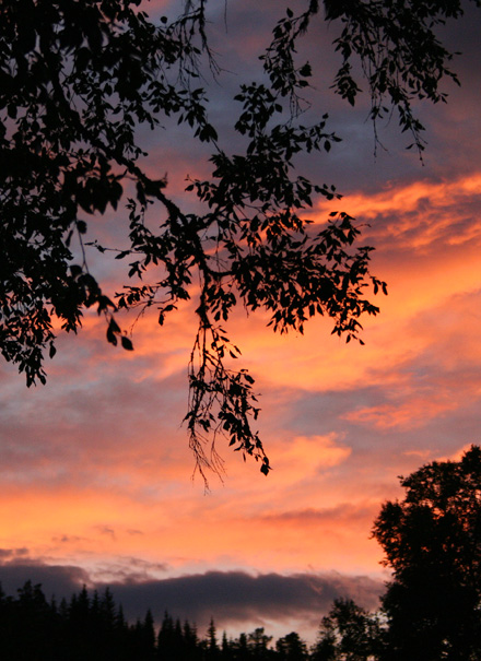 sunset.jpg