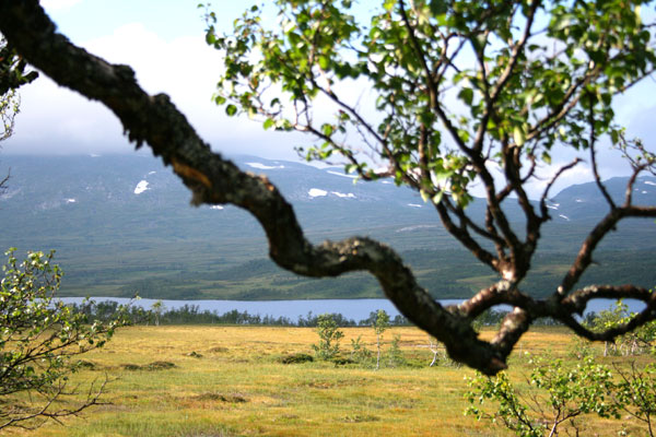 J__ldalsvatnet.jpg