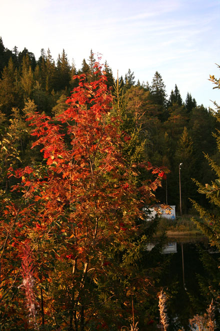 IMG_0001.jpg