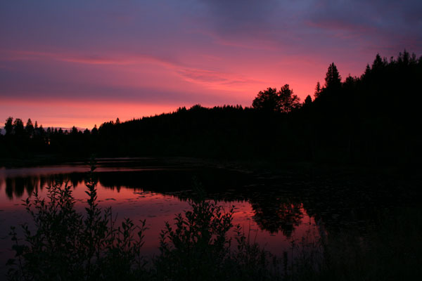 IMG_9845.jpg