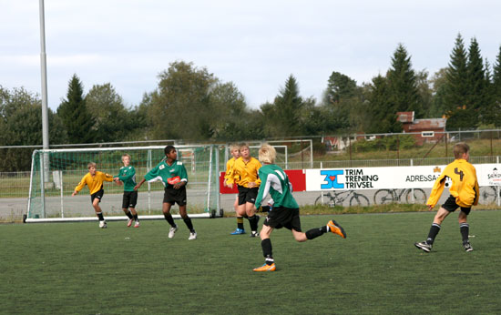 Gutter13.jpg