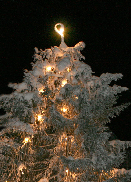 Julegrana.jpg