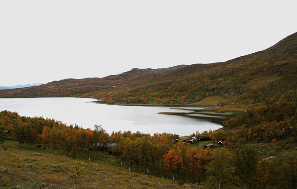 Skarvatnet.jpg