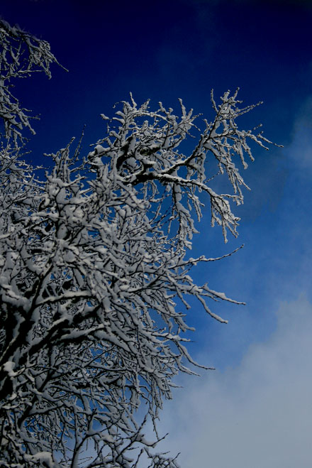 Bl___himmel.jpg