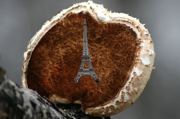 Paris_i_kjuka.jpg