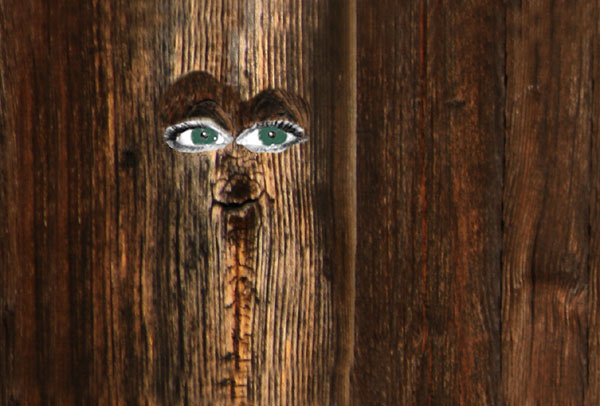 Plank_med___yne.jpg