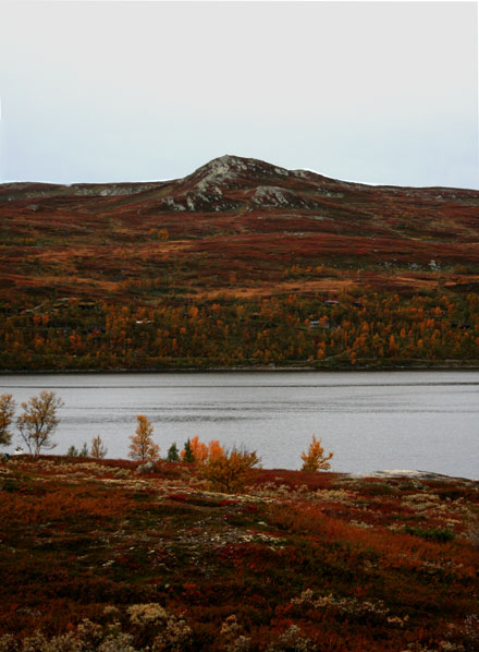 Skarvatnet.jpg