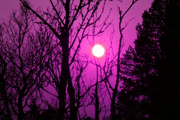 Perfect_sunset.jpg