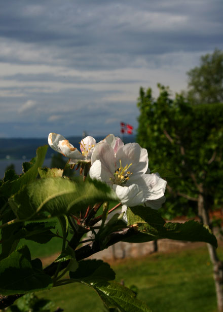 Vist_og_Beistadfjorden.jpg
