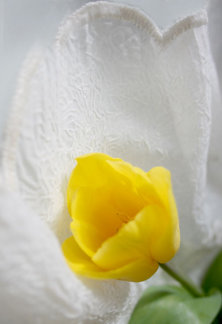Yellow.jpg