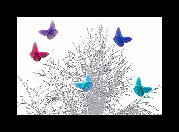Colourflies.jpg
