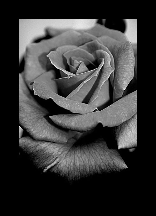 Colourless.jpg