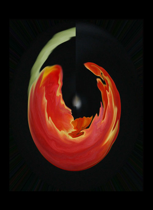 Fierce_tulip.jpg