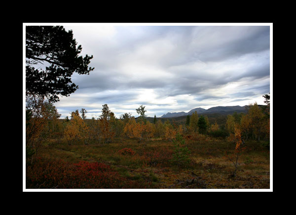 Fjellet.jpg