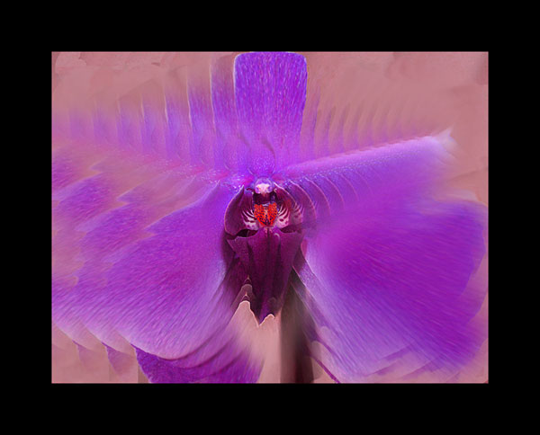 Flukt.jpg