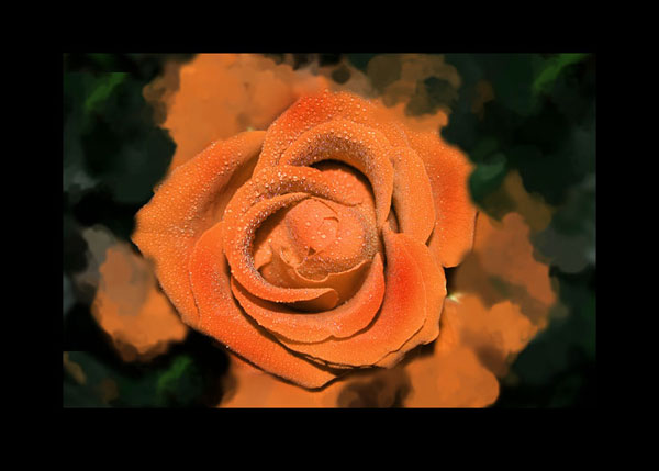 Golden-rose_1.jpg